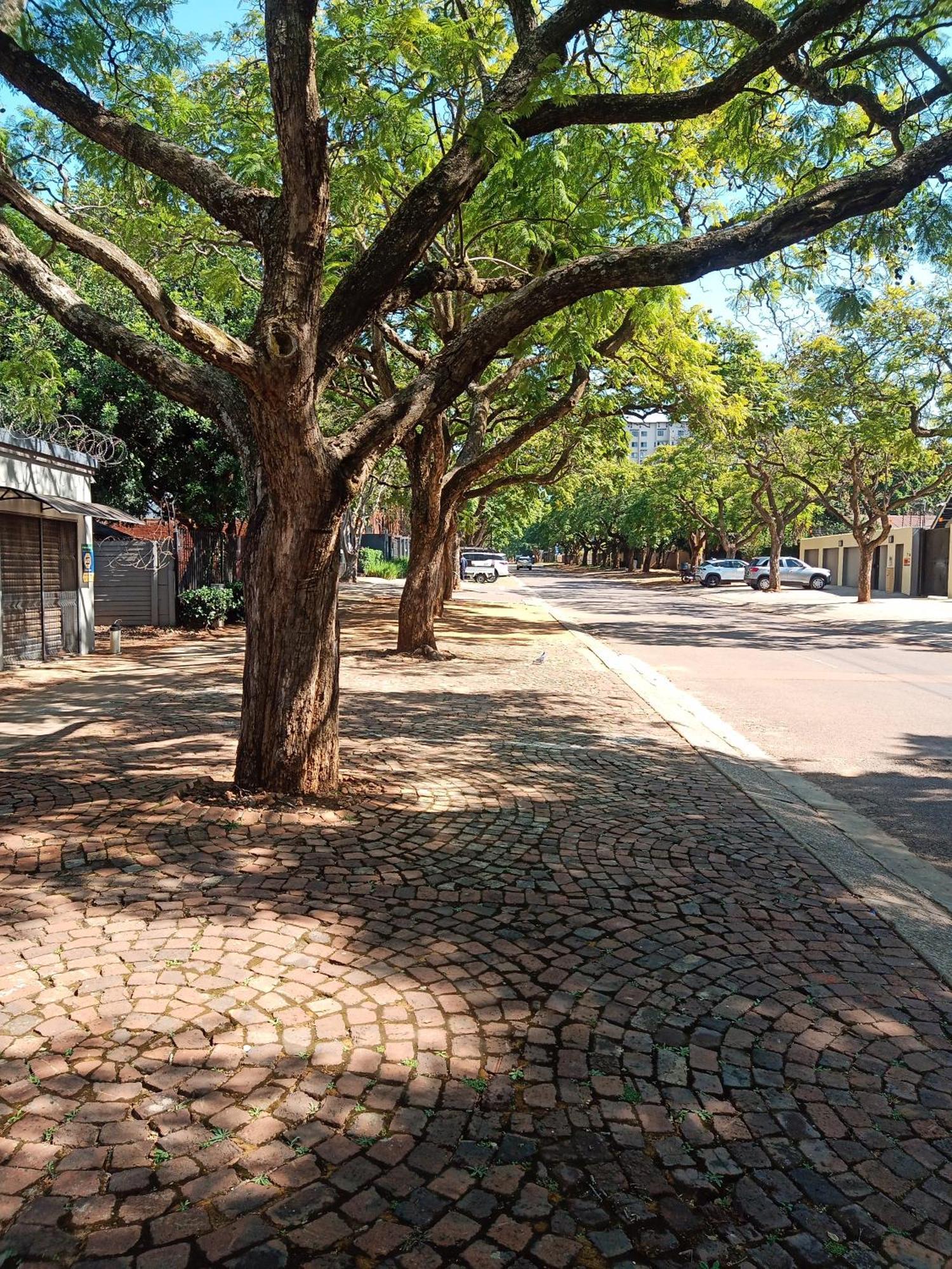 Accommodation@Park1285 Pretoria Exterior photo